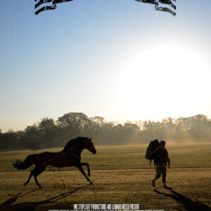 Getting Stable Poster